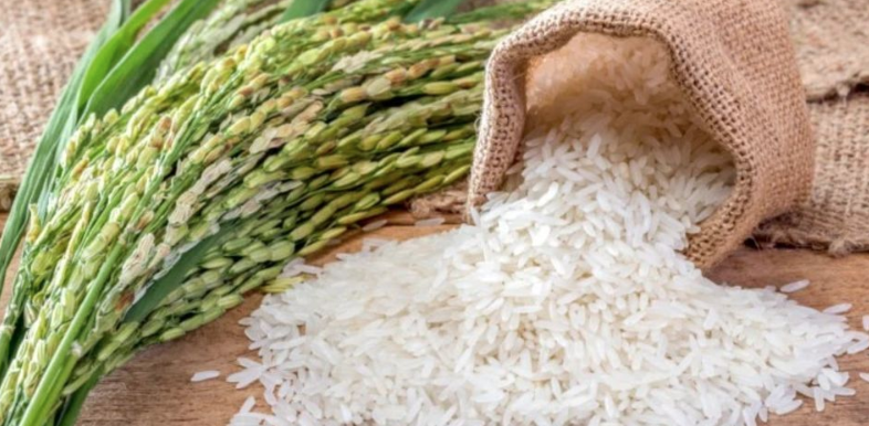Rice