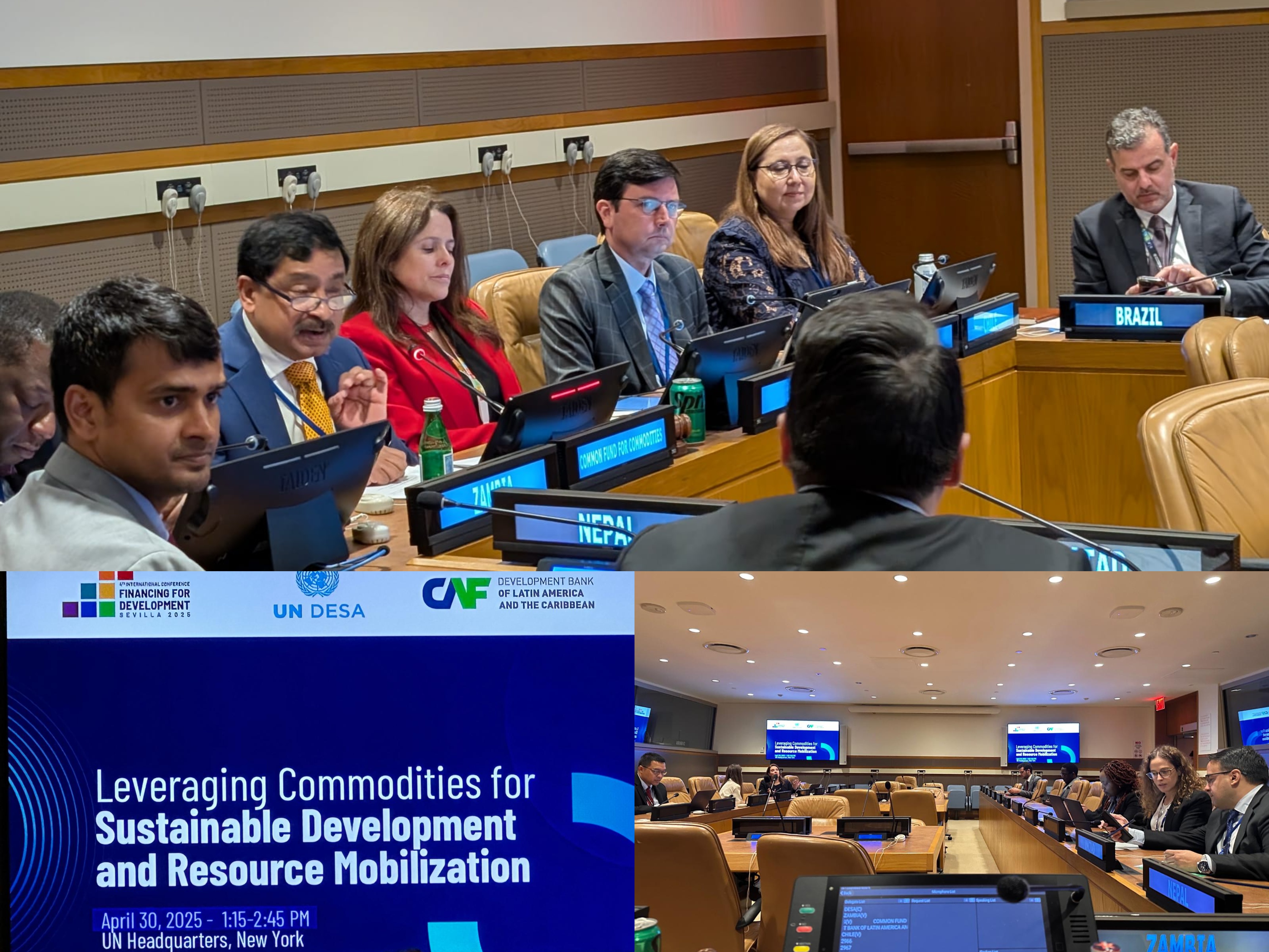 Ambassador Belal at the UN DESA Side Event