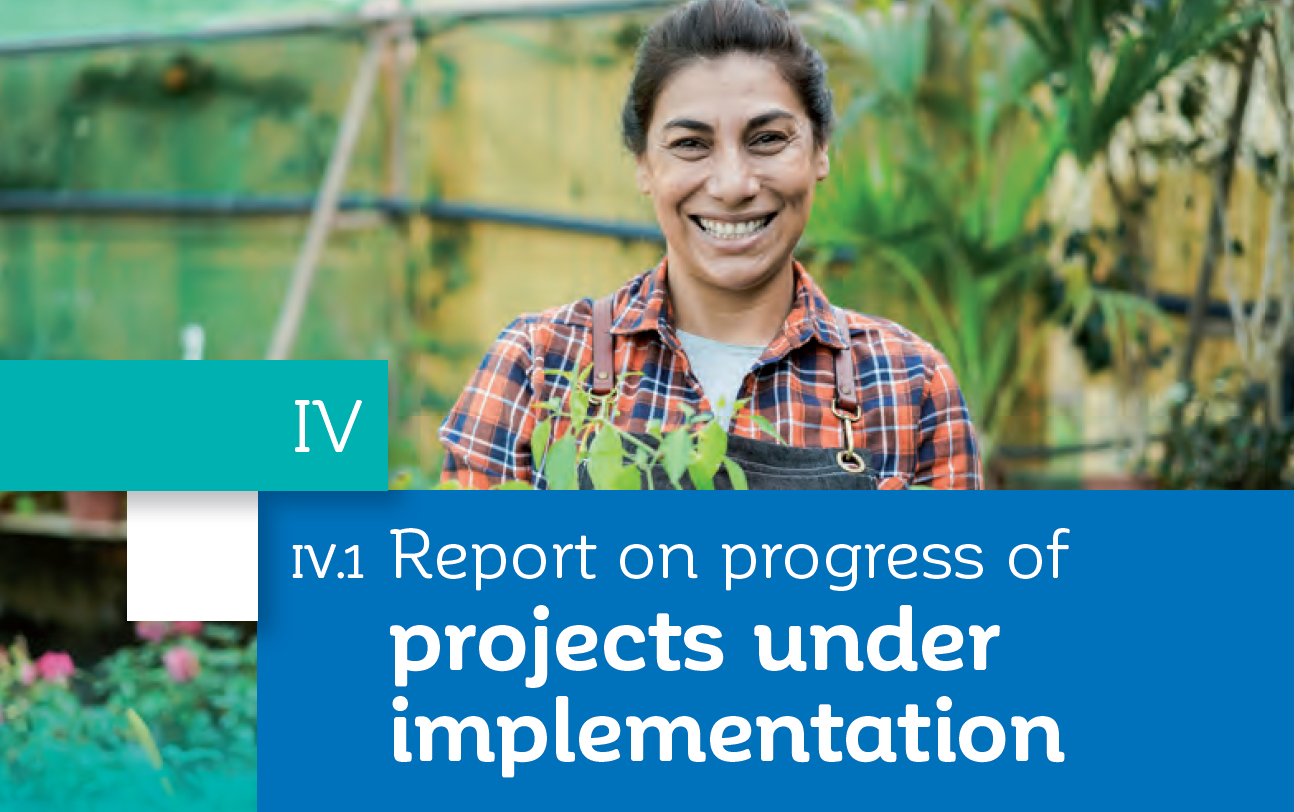 Report on progress of projects under implementation