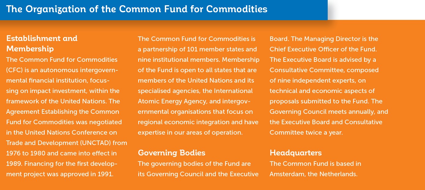 Consultative Committee