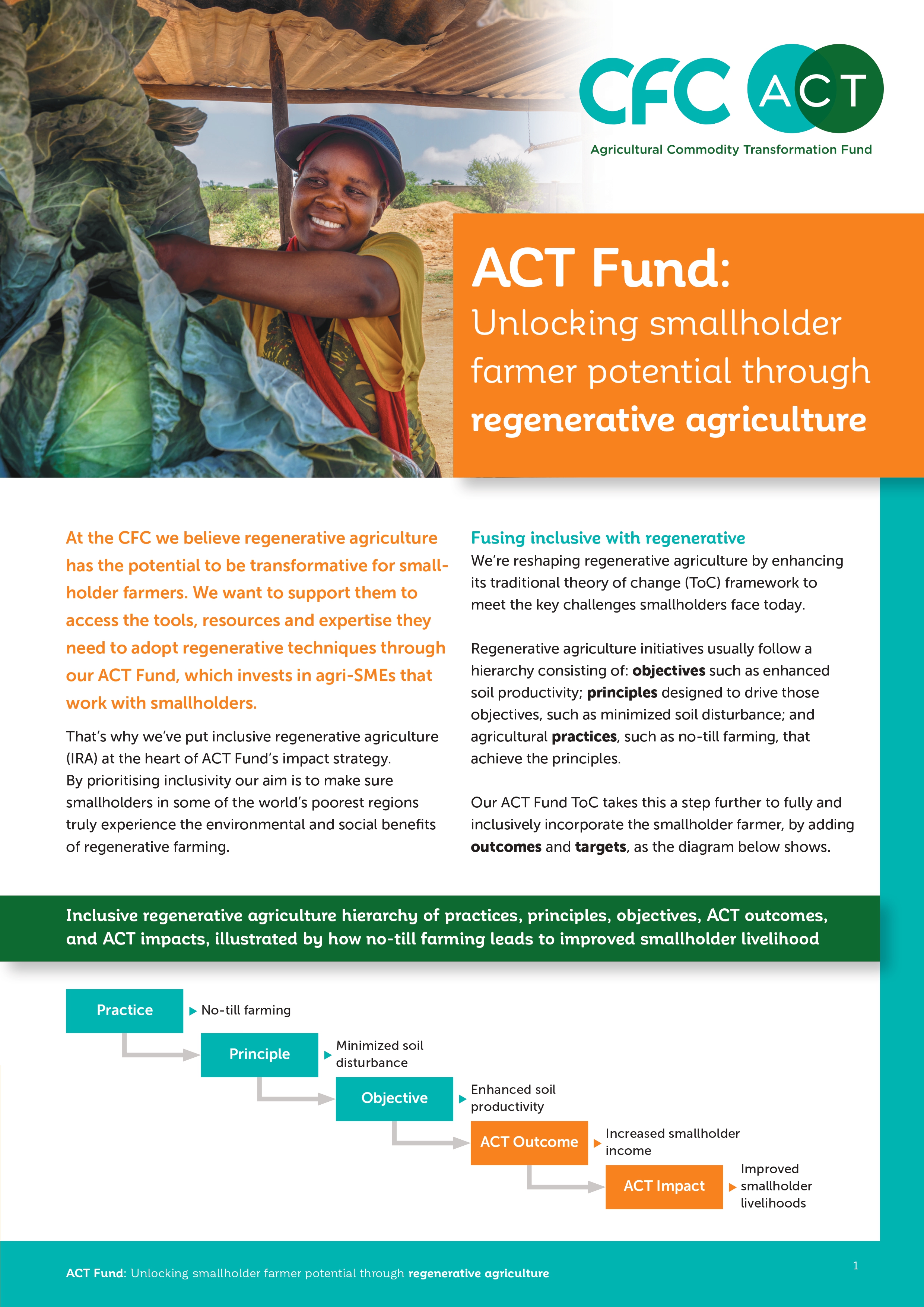 ACT Fund Impact