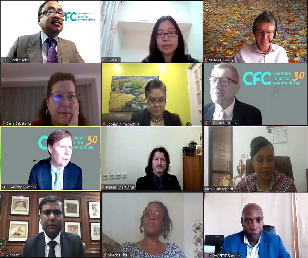Consultative Committee