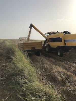 Modern equipment provided by CNT is helping rice farmers increase productivity