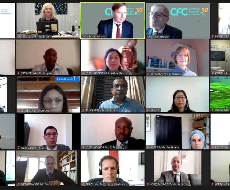 71st Meeting of the Executive Board, held by teleconference on 20 April 2021
