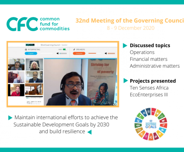 32nd Meeting of Governing Council