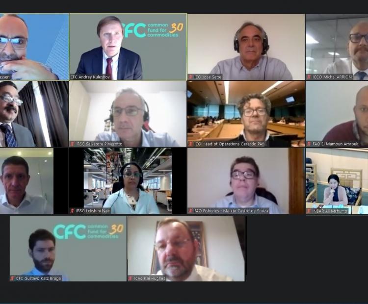 CFC-ICB 2020
