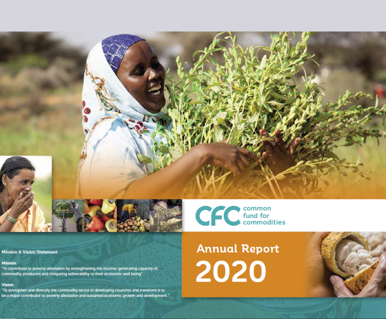 Annual Report 2020