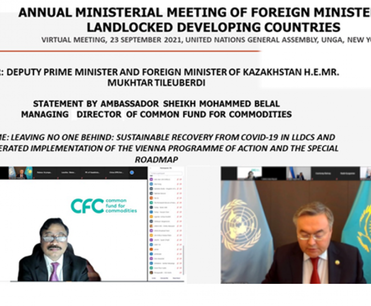 Annual Ministerial Meeting of Foreign Ministers of LLDCs