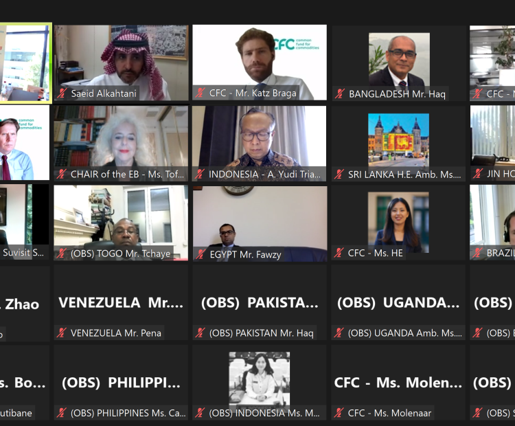 72nd Meeting of the Executive Board