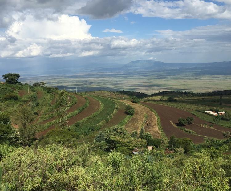TA project with AATIF investee Amsons / Camel Flour in Tanzania