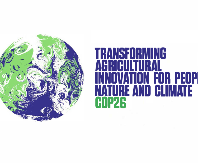 COP26