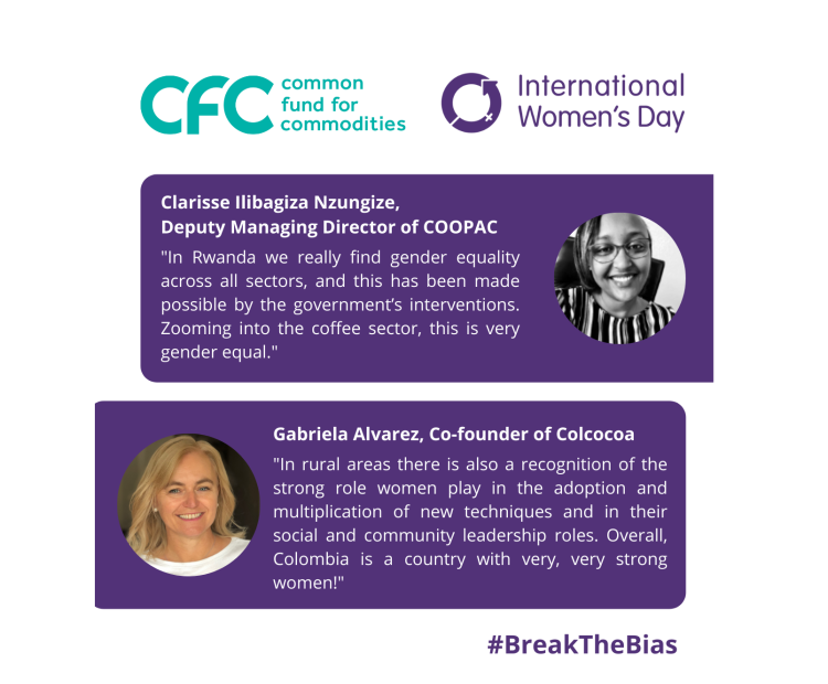 IWD_2022