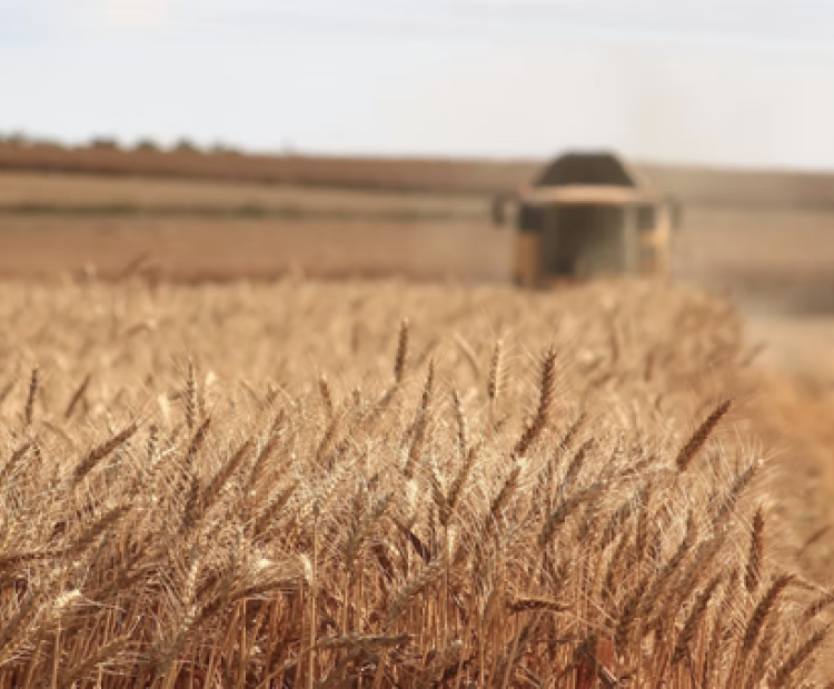 EU promoting sustainable agriculture in Africa