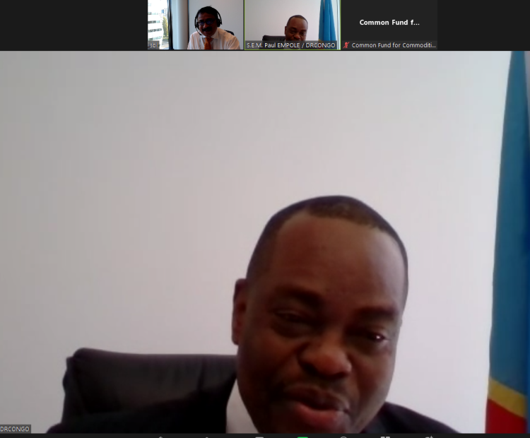 Ambassador DR Congo