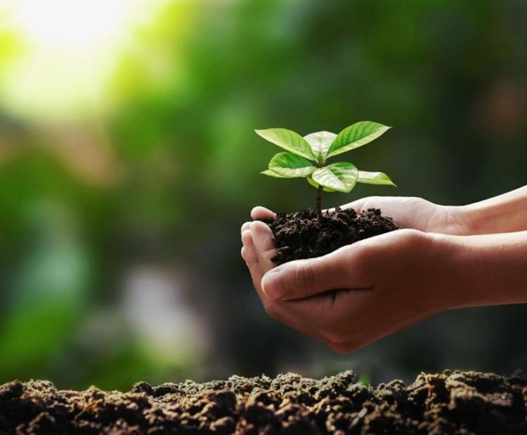 Climate resilience