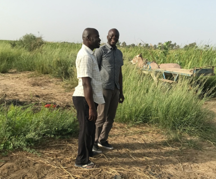 Senegal_25112022
