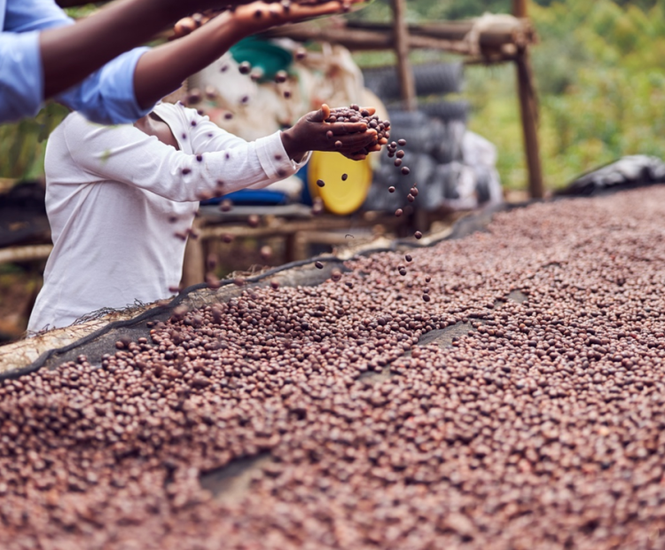 African_agriculture