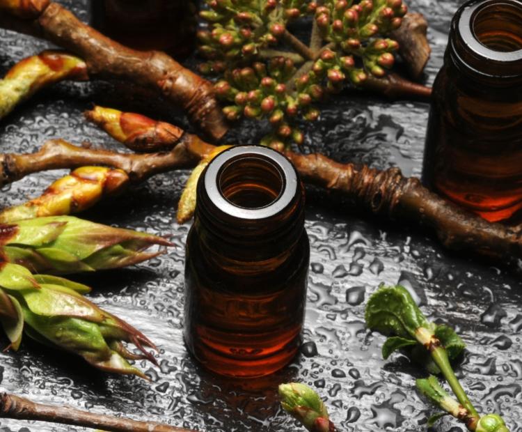 Nutraceutical_opportunity 