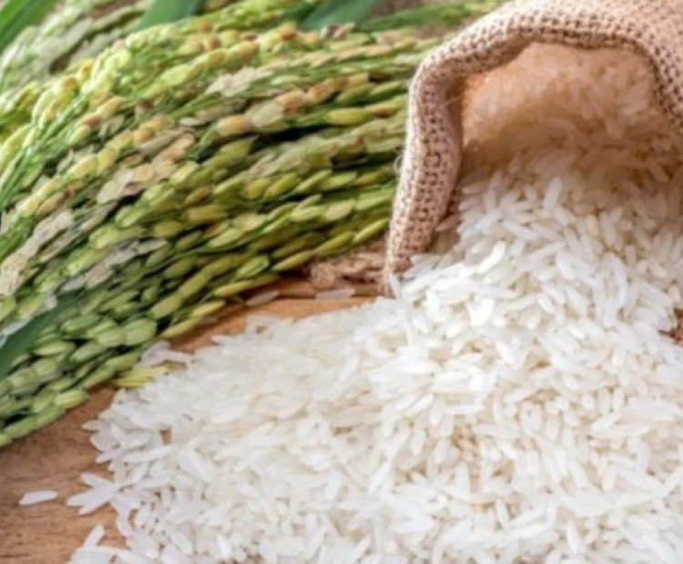 Rice