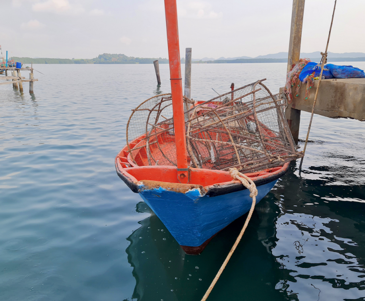 Artisanal Fishery