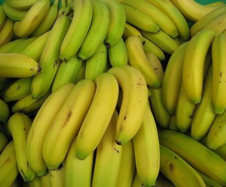 Bananas