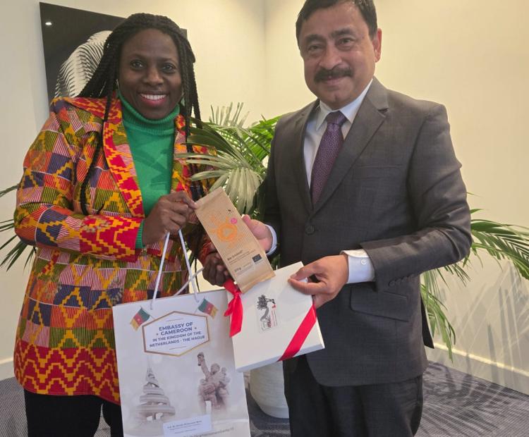 Ambassador Cameroon