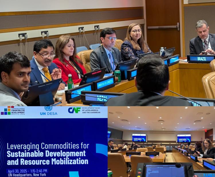 Ambassador Belal at the UN DESA Side Event