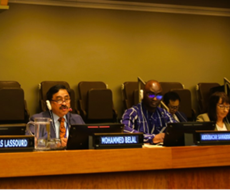 FfD_20260422